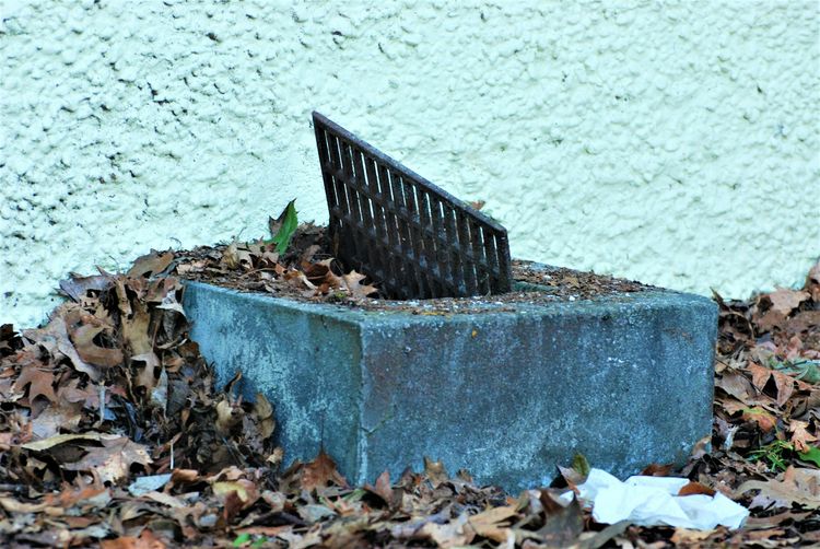 Yard drain beside a house wall, choked with leaves, its grate lifted