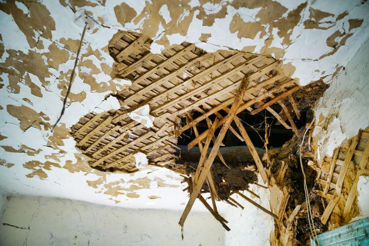 Ceiling brought down by water damage, with broken laths hanging through the hole