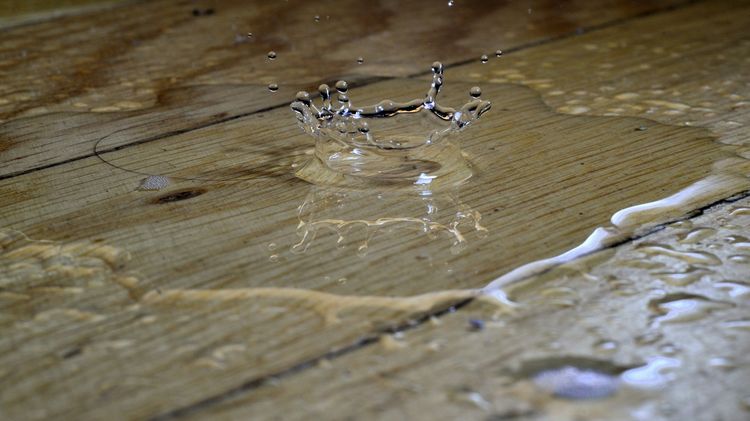 Water dripping into a spreading puddle on wooden floorboards
